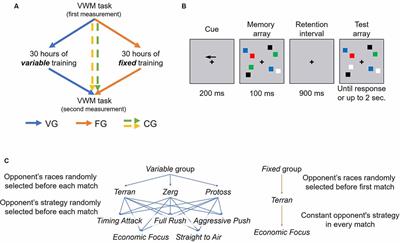 Psychophysiological, but Not Behavioral, Indicator of Working Memory Capacity Predicts Video Game Proficiency